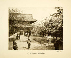 1904 Photogravure Cherry Blossoms Pagoda Japan Street Scene Flower XGDD1