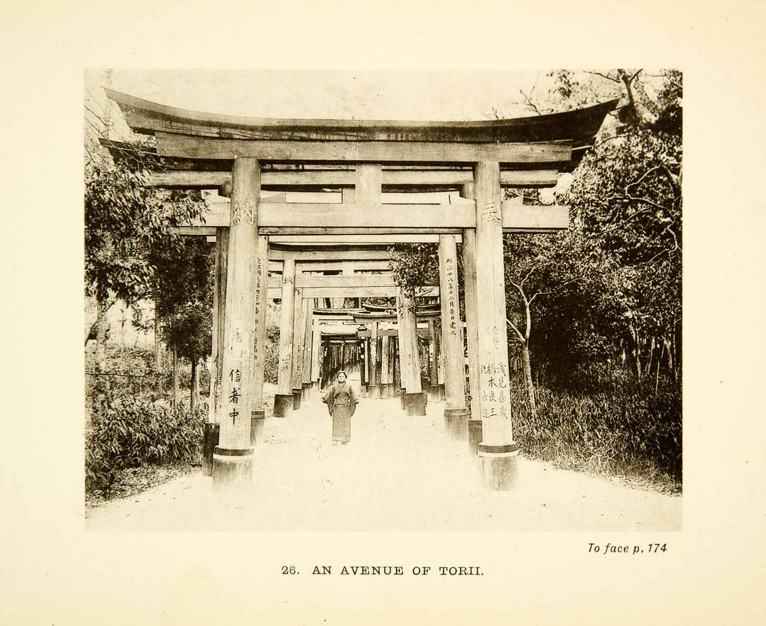 1904 Photogravure Torii Avenue Arch Japanese Historical View Landmark XGDD1