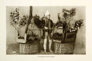 1904 Print Japanese Walking Conservatory Plant Flowers Basket Merchant XGDD3
