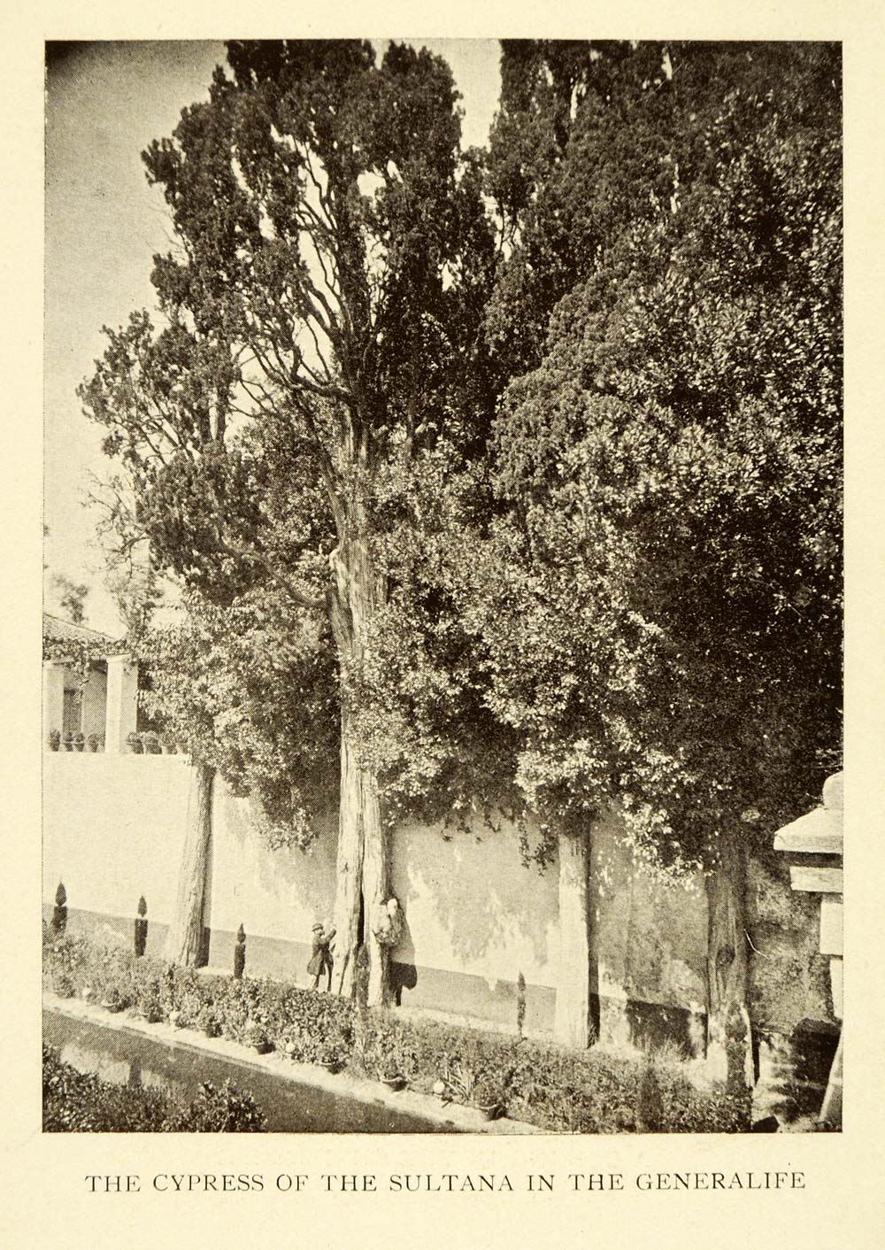 1907 Print Cypress Sultana Generalife Granada Spain Trees Wall Man Plants XGE3