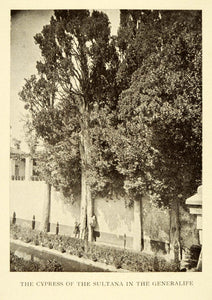 1907 Print Cypress Sultana Generalife Granada Spain Trees Wall Man Plants XGE3