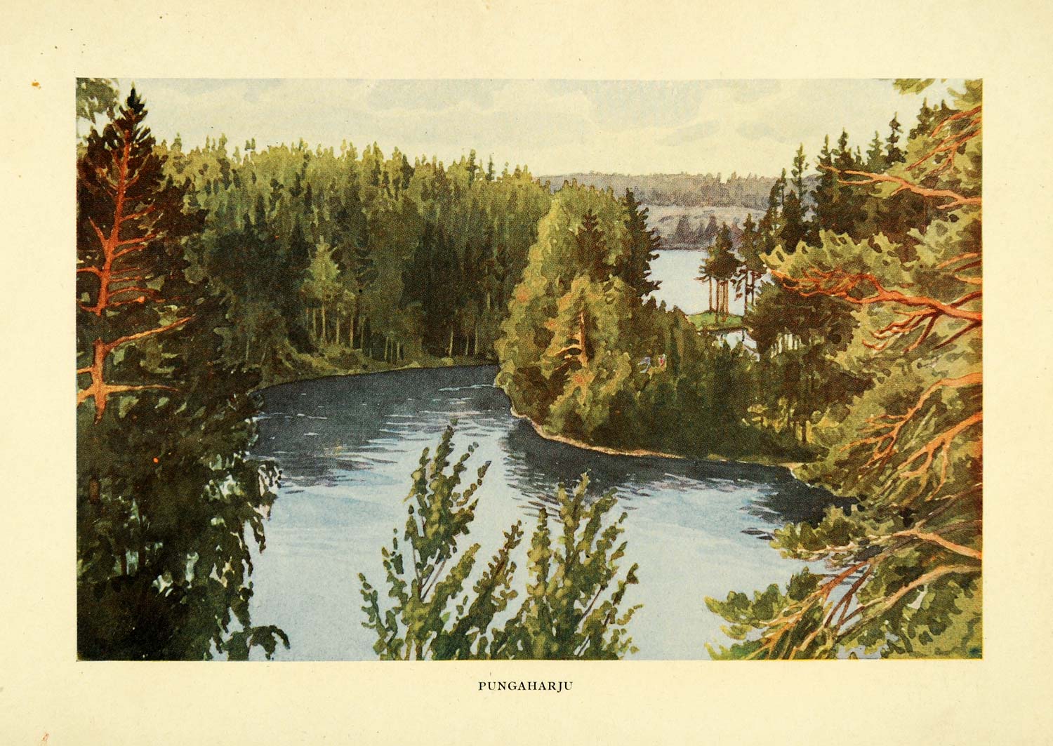 1908 Print Pungaharju Finland Landscape River Pine Trees Forest Art Suomi XGE8