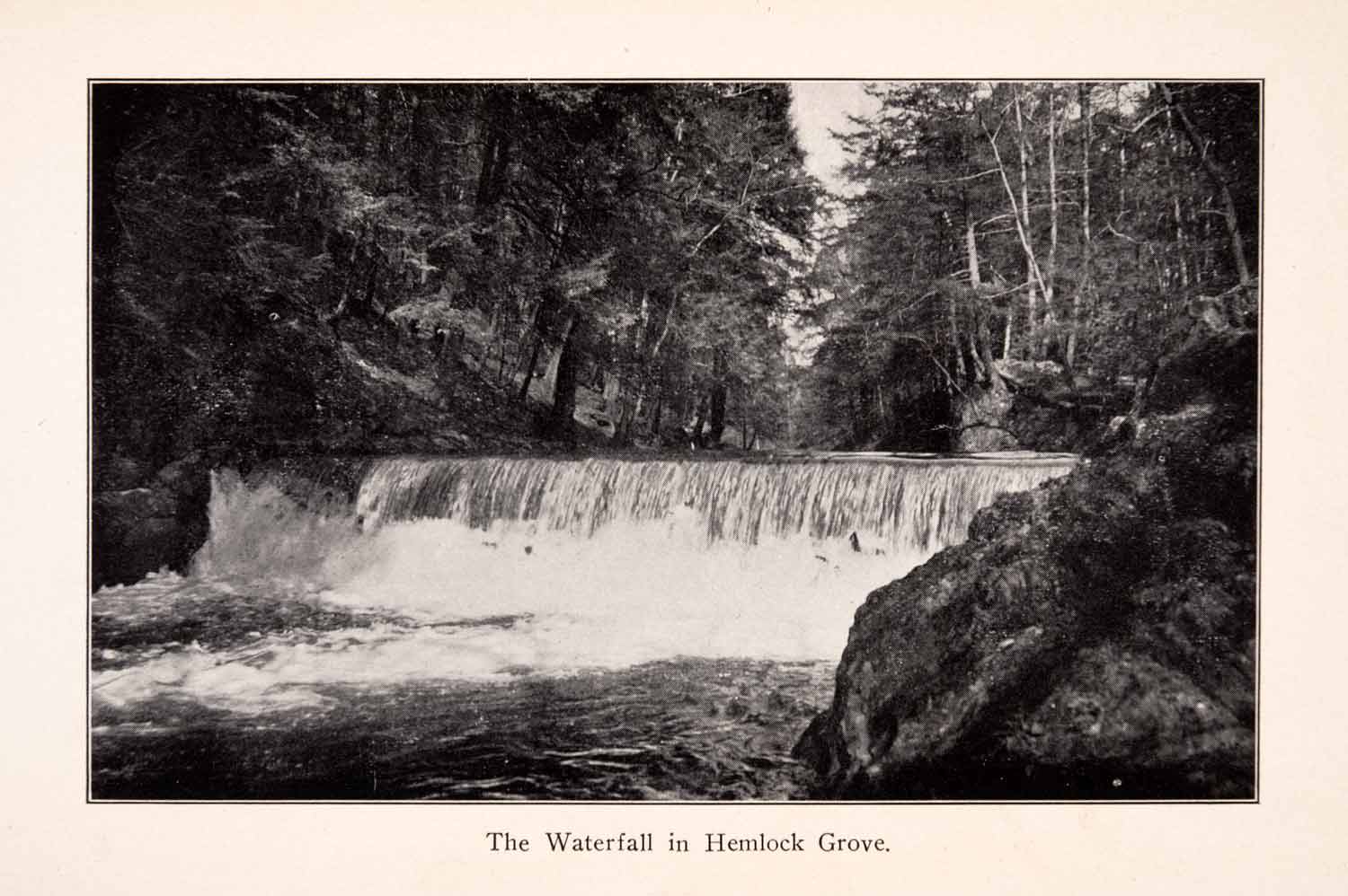 1910 Halftone Print Waterfall Hemlock Grove New York Forest Woods Water XGEA2