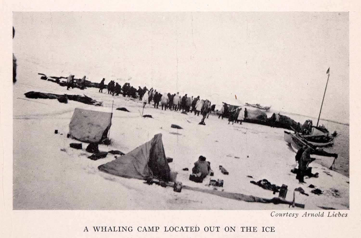 1942 Halftone Print Alaska Whaling Whale Killed Hunting Ice Boat Tent XGEA9
