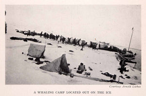 1942 Halftone Print Alaska Whaling Whale Killed Hunting Ice Boat Tent XGEA9