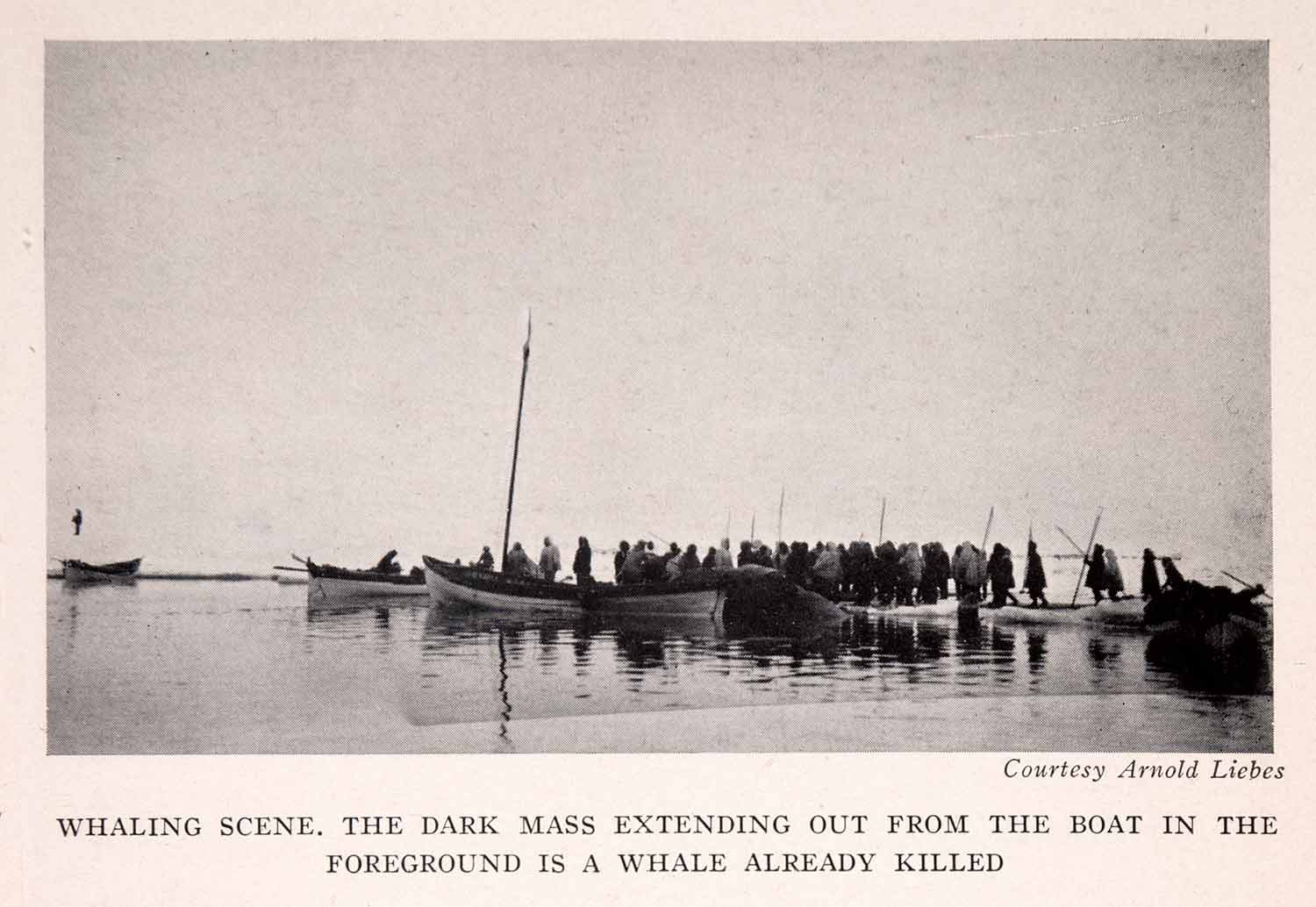 1942 Halftone Print Alaska Whaling Whale Killed Hunting Boat Ice Tent XGEA9