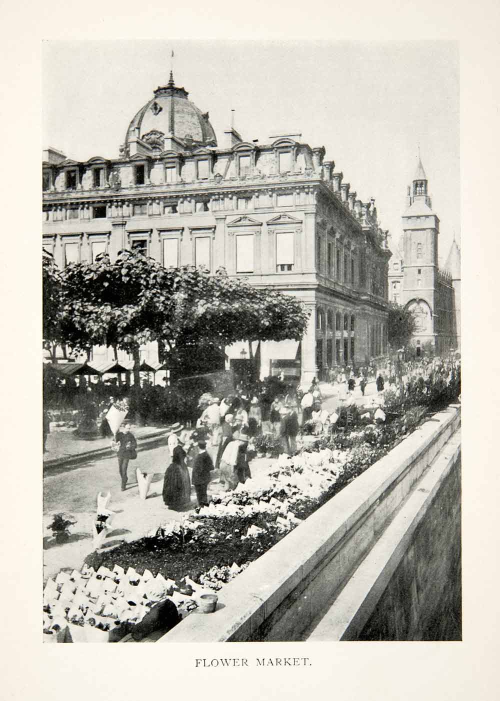 1900 Print Quai aux Fleurs Market Siene River Ile Cite France Cityscape XGEB1