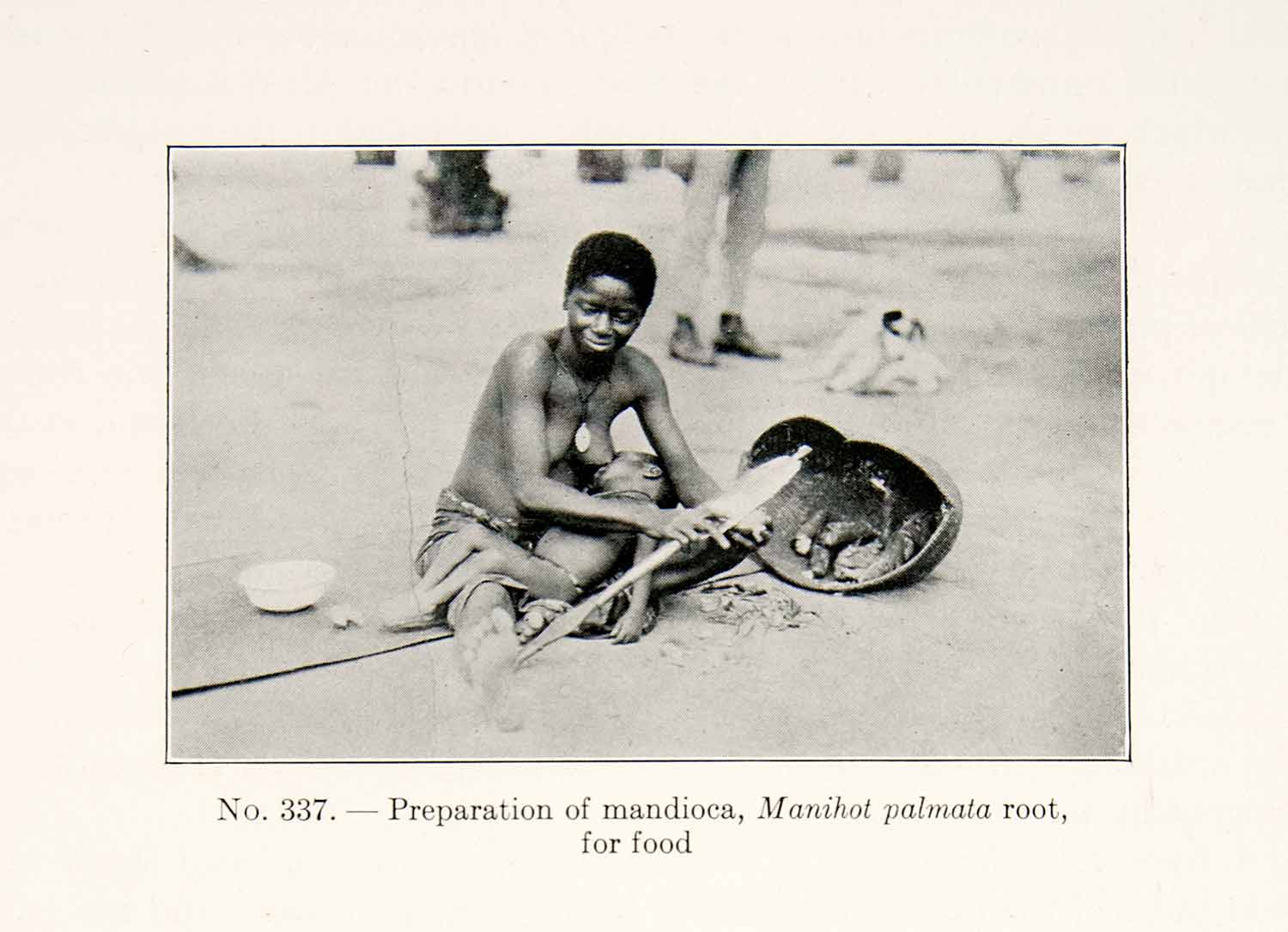 1930 Print Preparation Mandioca Manihot Palm Root Food Indigenous Woman XGEC4