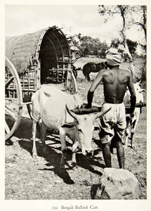 1938 Print Bengali Bull Cart Person Animal Man Bullock India Bengal XGEC7