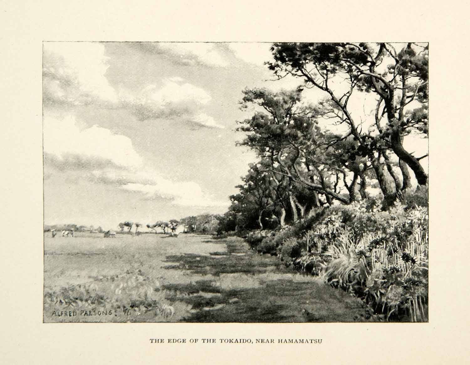 1896 Print Edge Tokaido Hamamatsu Alfred Parsons Japanese Tree-Lined XGED1