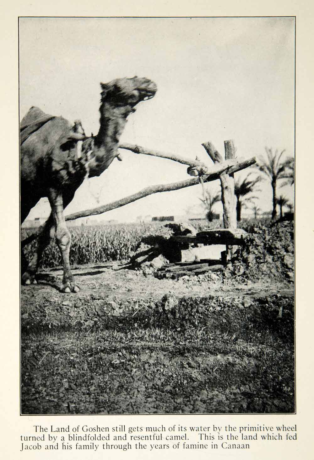 1922 Print Goshen Camel Jacob Canaan Biblical Middle East Wheel Turning XGED3