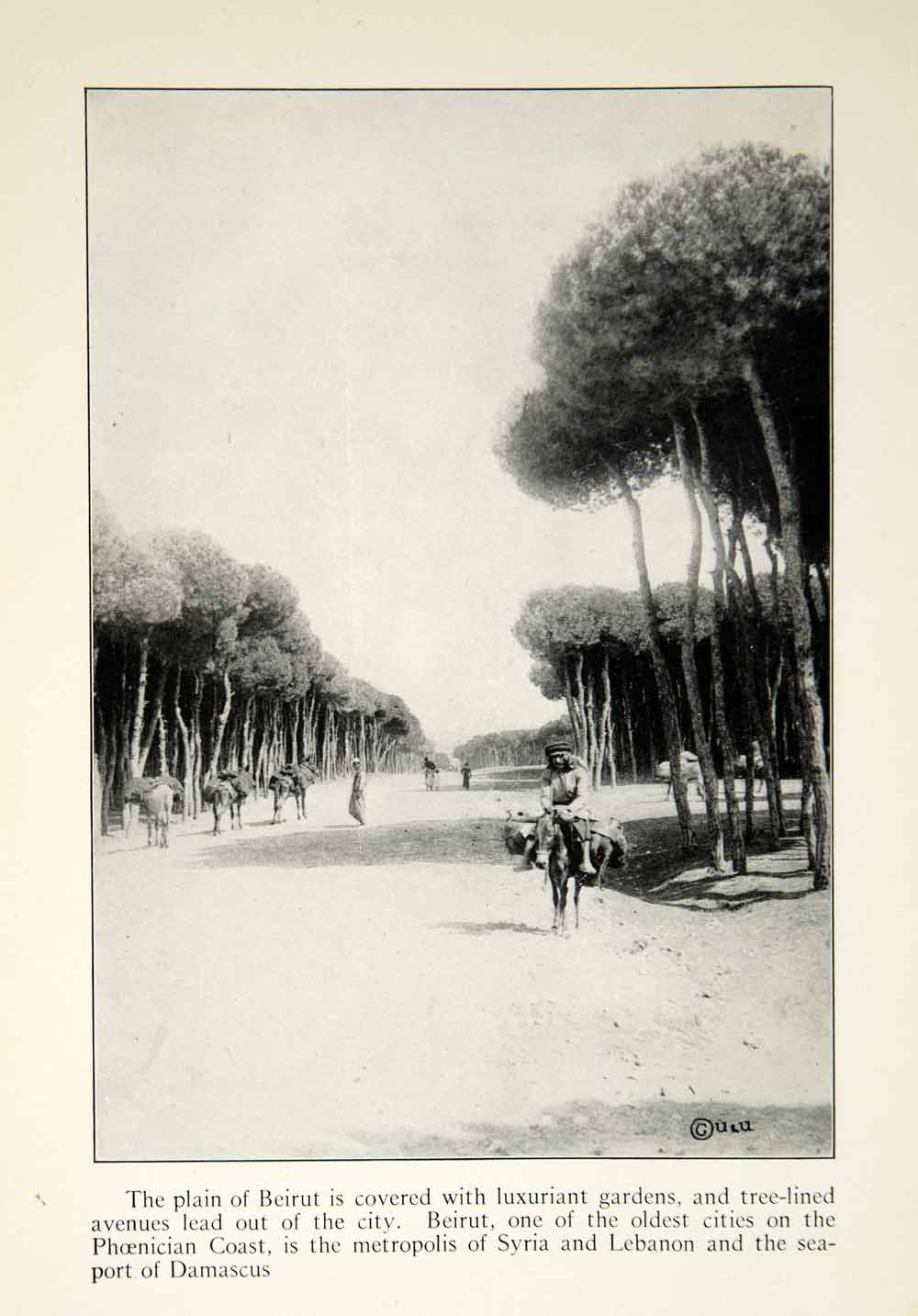 1922 Print Beirut Phoenicia Trees Path Middle Eastern Travel Street Scene XGED3