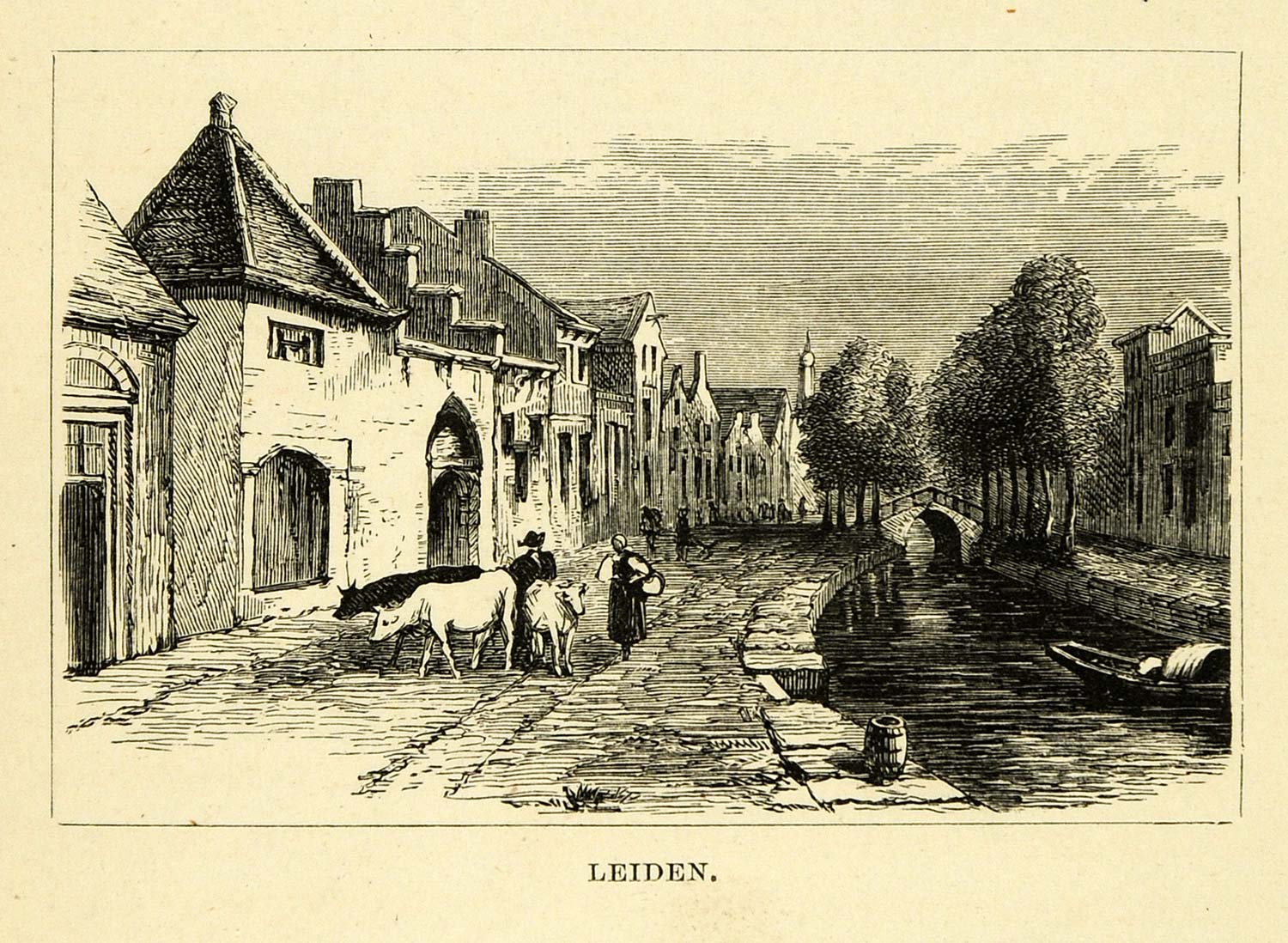 1877 Wood Engraving Leyden Leiden Holland Cityscape Streetscape View Cattle XGF1