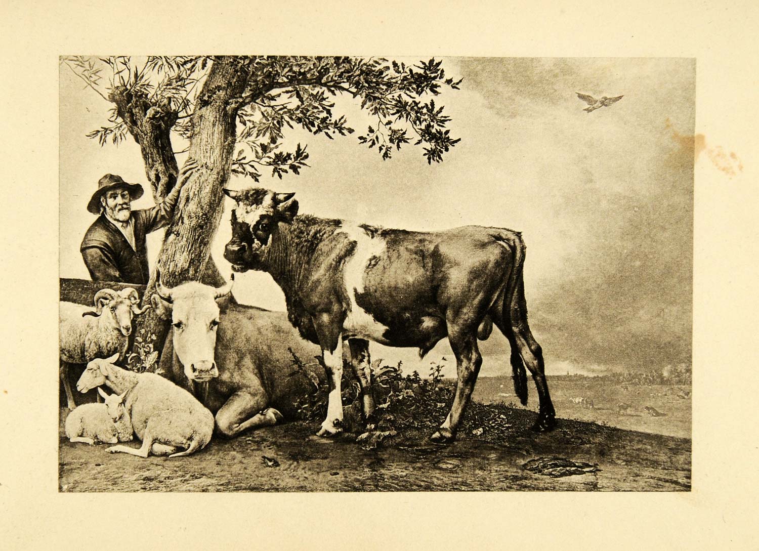 1894 Photogravure Paul Potter Bull Farmer Farm Animal Lamb Ram Cattle Cow XGF6