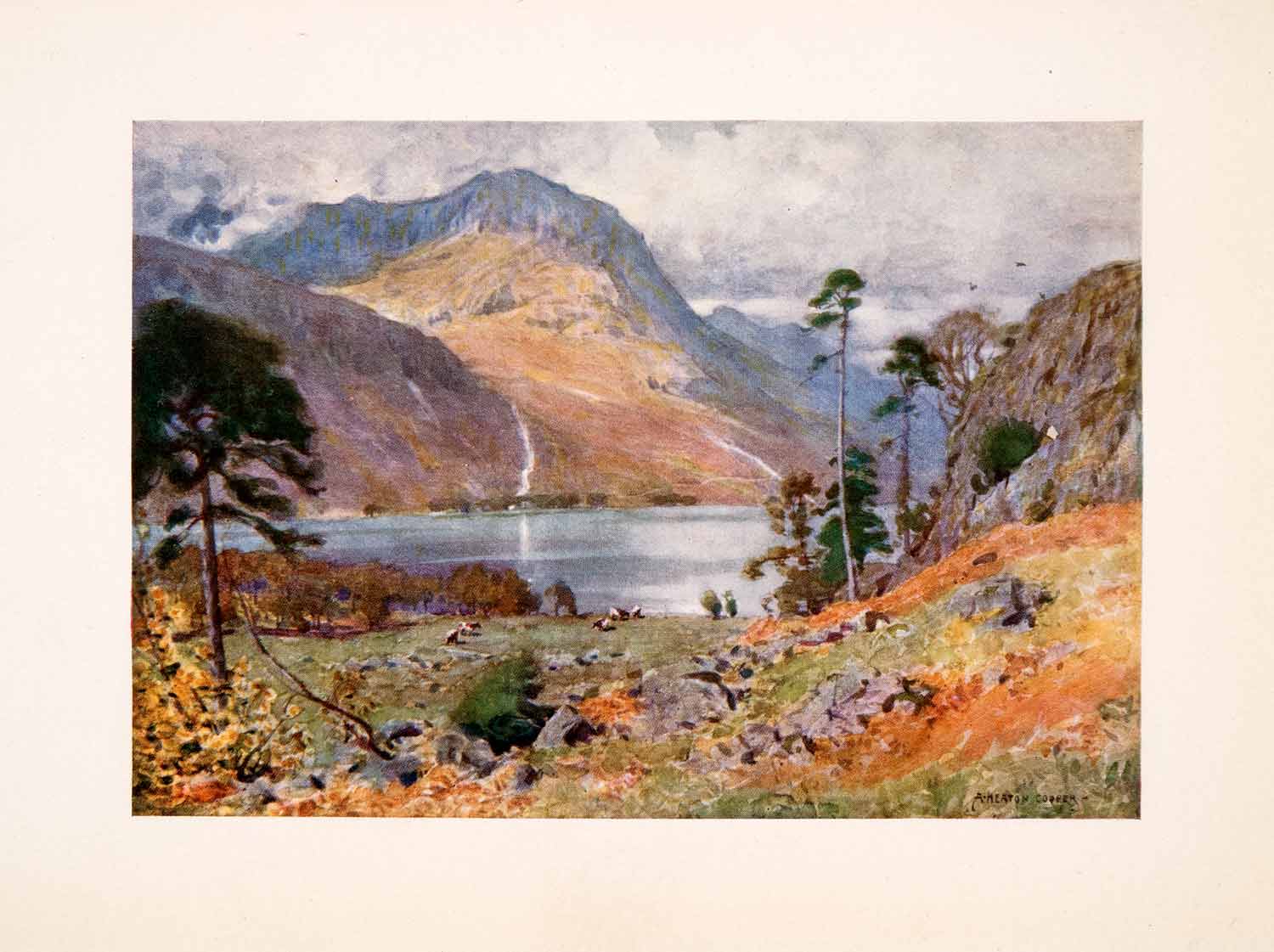1908 Print Head Buttermere England Mountains Lake Trees Rocks Alfred XGFA4