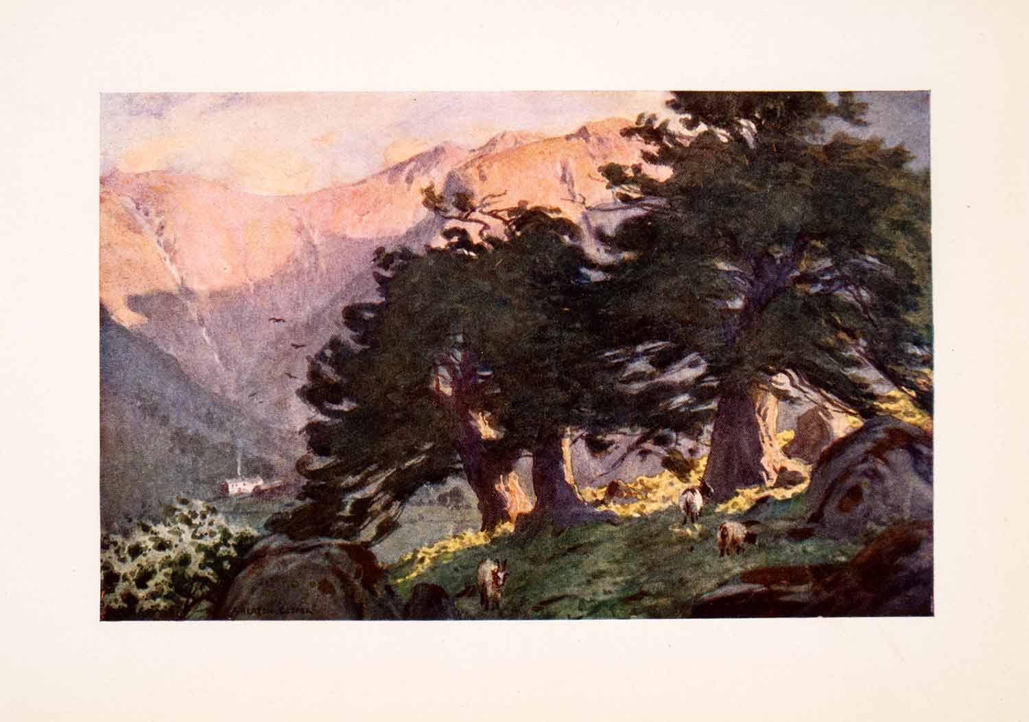 1908 Print Borrowdale Yews Evening England Mountains Animals Rocks XGFA4