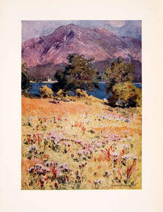 1908 Print Bassenthwaite Lake Skiddaw England Mountain Trees Flowers XGFA4