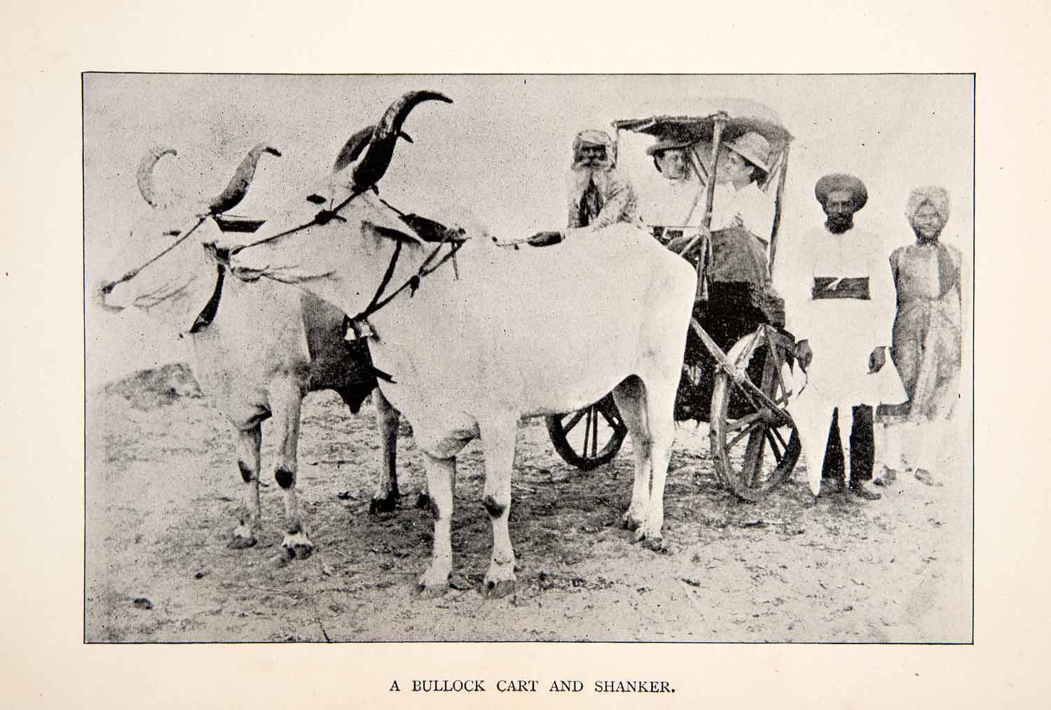 1892 Print Ox Cart Bullock Brougham India English Travelers Shanker Driver XGFB4