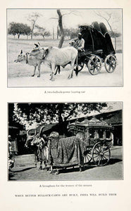 1929 Print Bullock Cart Ox Cattle Brougham Carriage Zenana Transportation XGFB7