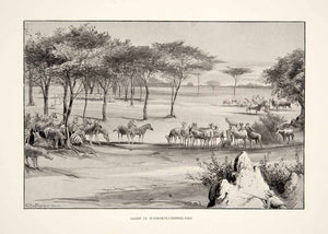 1898 Print Game Animal Zebra Antelope Mashikolumbweland Africa Charles XGFC6
