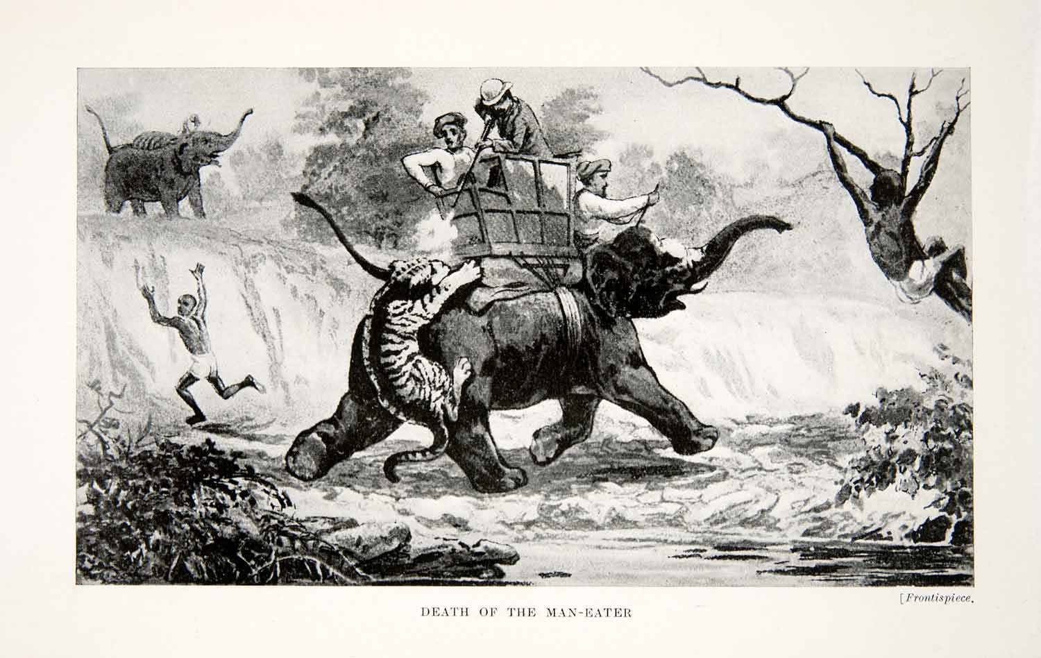 1920 Print India Tiger Elephant Hunter Jungle Attack Shoot Man Eater XGFC7