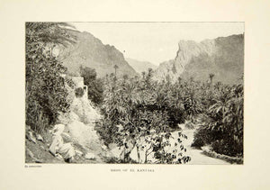 1903 Print El Kantata Oasis Algeria Landscape Plants Historical Image View XGFD2