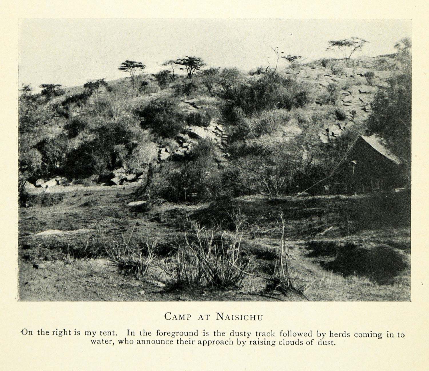 1910 Print Naisichu Ethiopia Abyssinia Tent Camp Natural History Historic XGG9