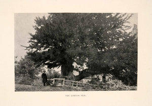 1903 Halftone Print Lorton View Landscape English Sermon Pride Vale Yew XGGA3