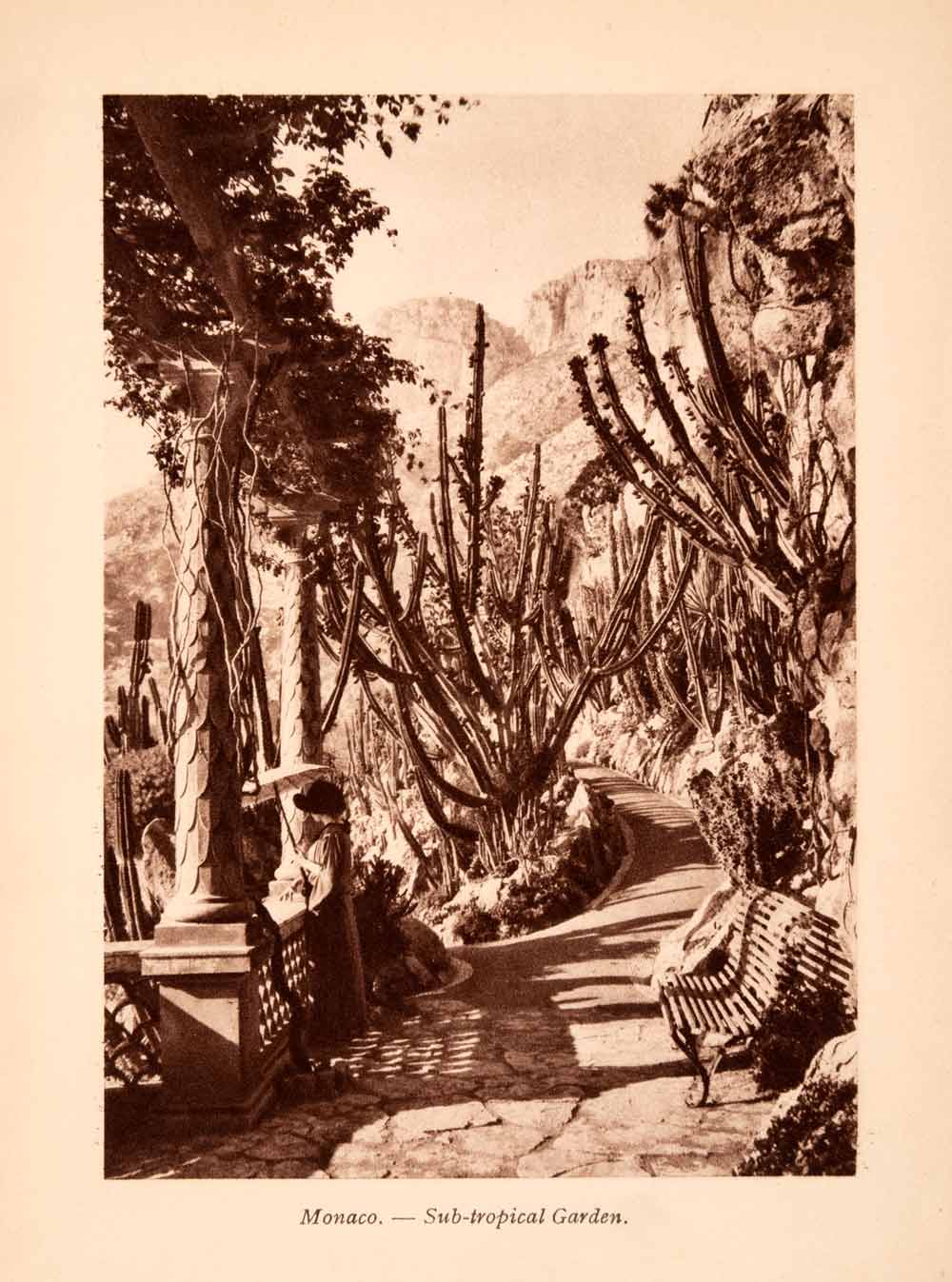 1924 Photogravure Monaco Mediterranean Garden Europe Cactus Park Bench XGGA6