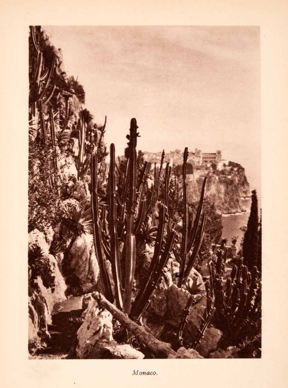 1924 Photogravure Mediterranean Sea Coast Monaco French Riviera Cactus XGGA6