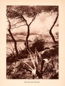 1924 Photogravure Menton France Mentone Mediterranean Sea Landscape Cactus XGGA6
