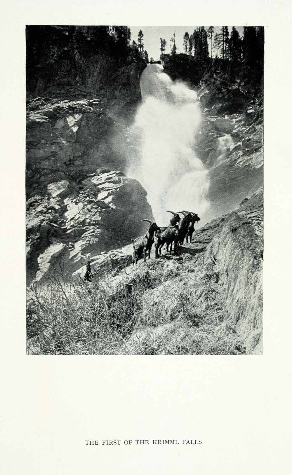 1928 Print First Krimml Falls Mountain Goats Waterfall Rocks Austria XGGA7