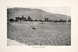 1911 Print Castile Spain Farmer Agriculture Plow Cultivation Oxen Field XGGB9