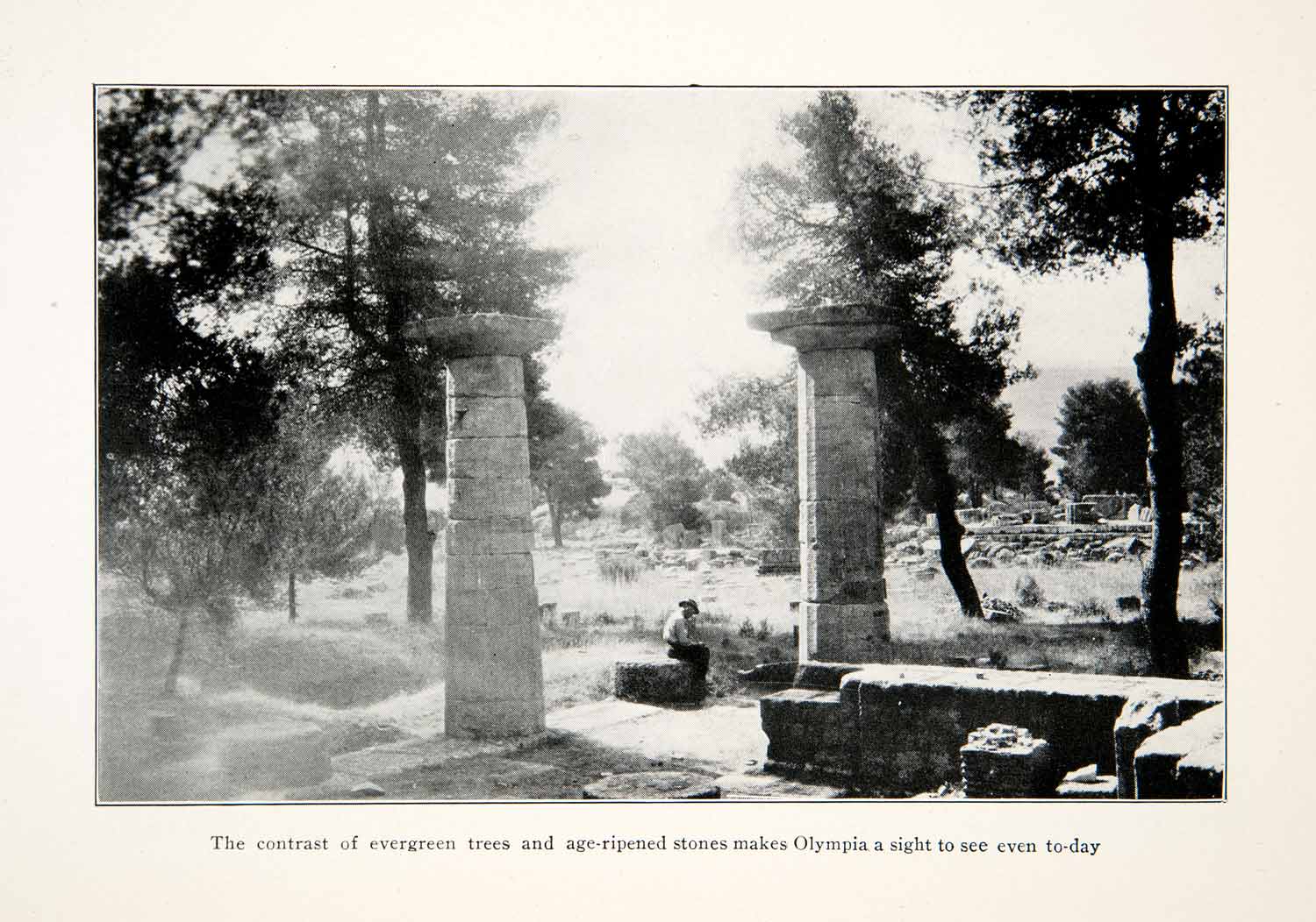 1929 Print Evergreen Trees Stones Olympia Ancient Greece Elis Zeus Temenos XGGC2