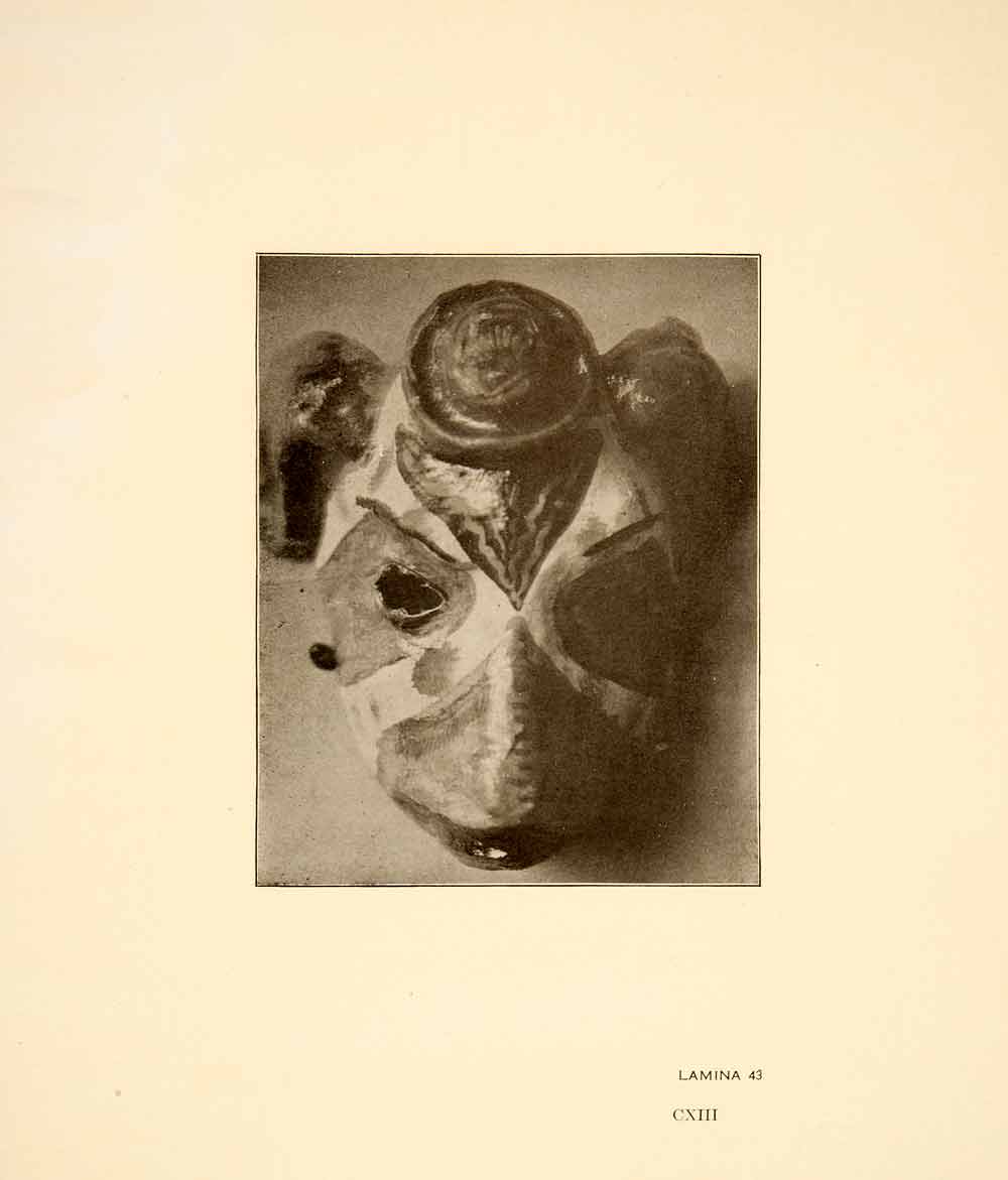 1926 Print Ancient Pasteboard Mexican Tribal Goat Mask Mexico City XGGC4