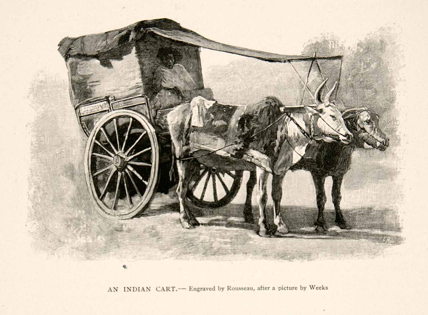 1894 Wood Engraving Bullock Cart Calcutta Kolkata India Bengal Oxen Cattle XGGC5
