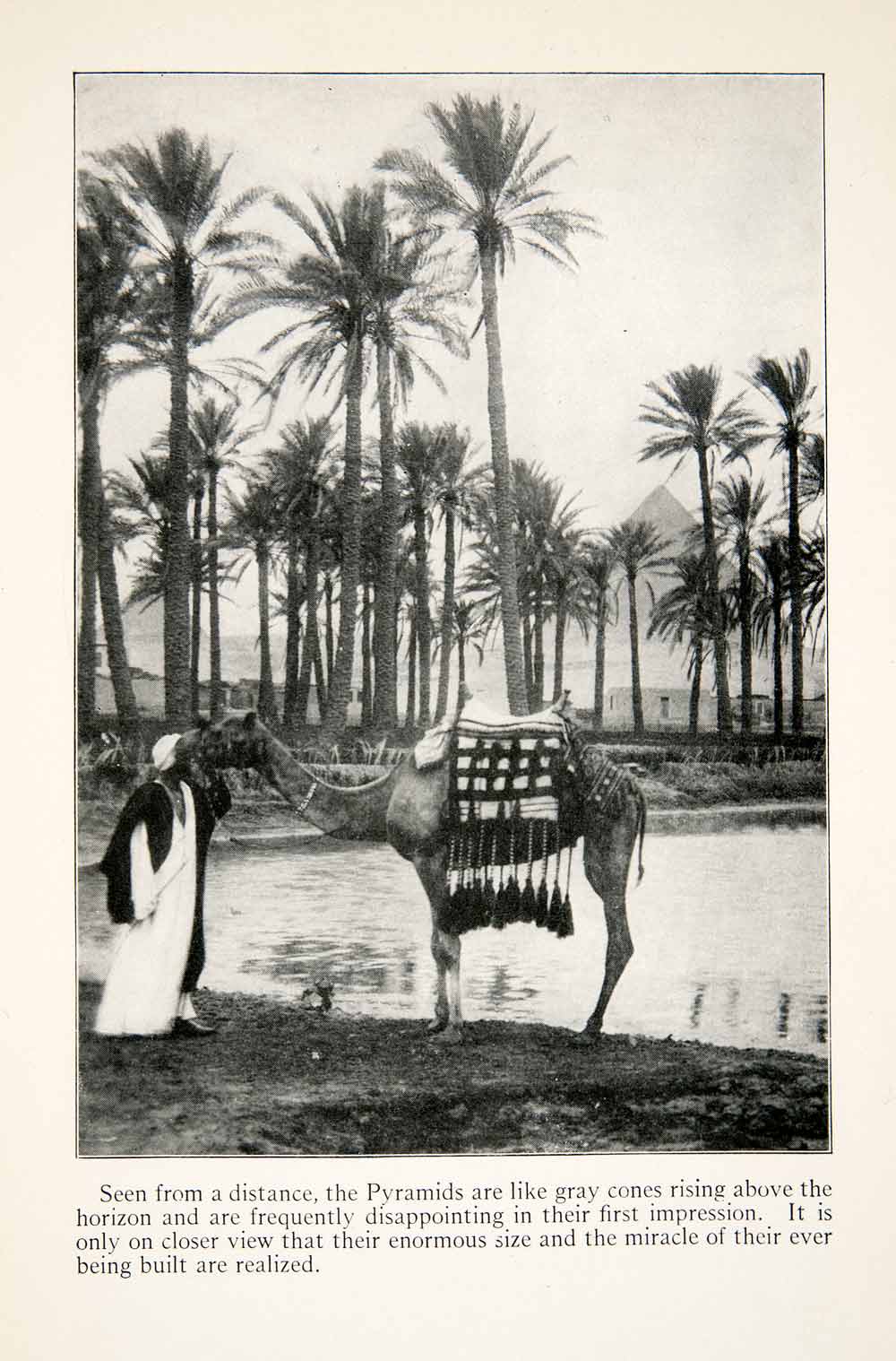 1923 Print Pyramids Pharoahs Consorts Palm Trees Camel Indigenous People XGGC9