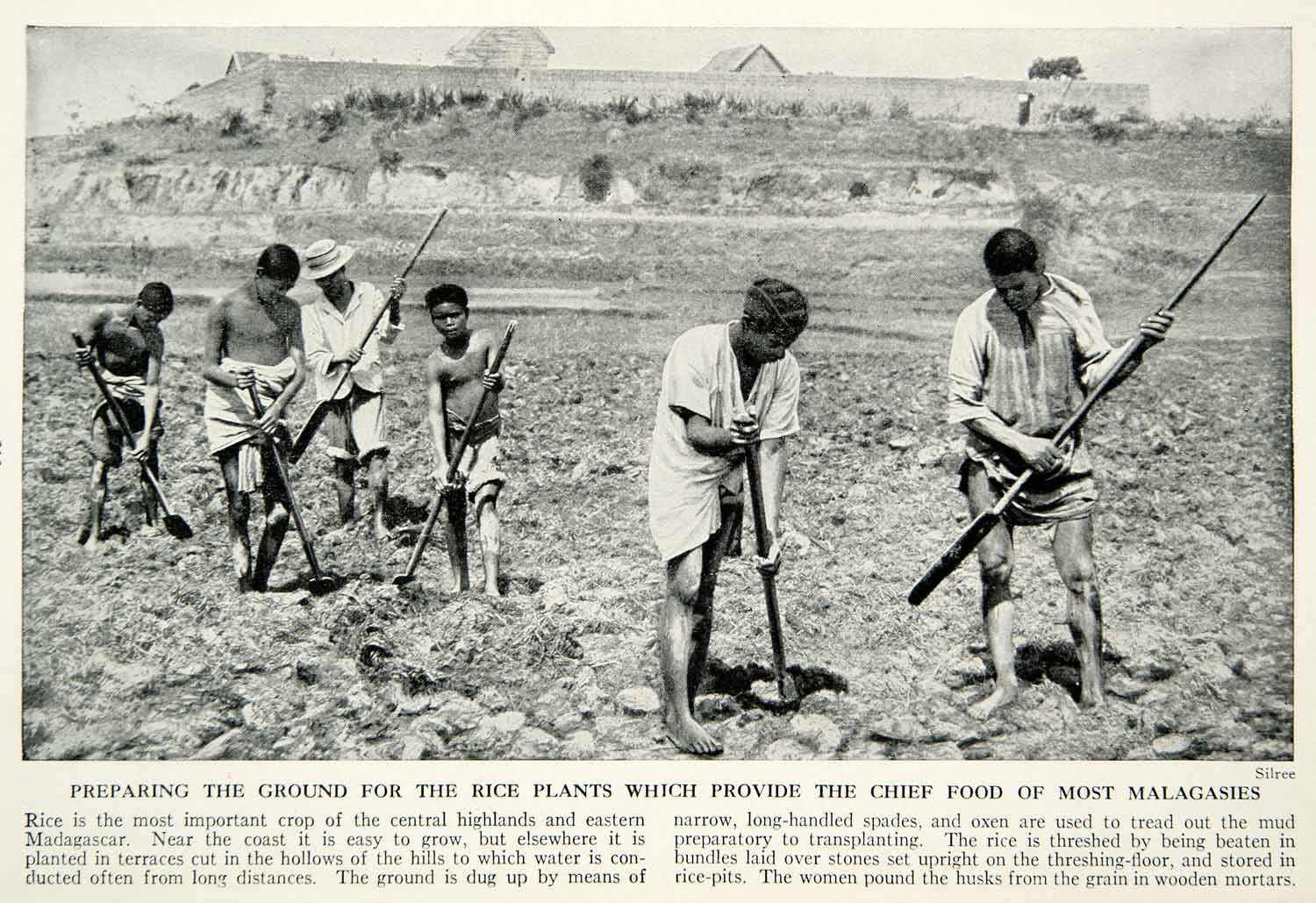1938 Print Agriculture Rice Field Madagascar Africa Malagasy Natives Spade XGGD5