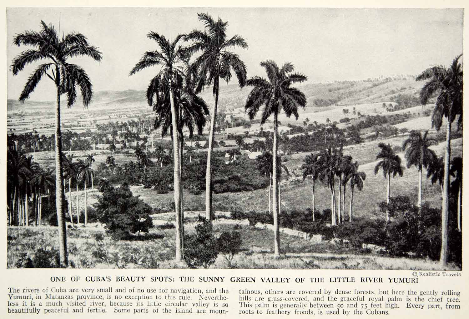 1938 Print Rio Yumuri River Valley Cuba Tropical Caribbean Island Palm XGGD5