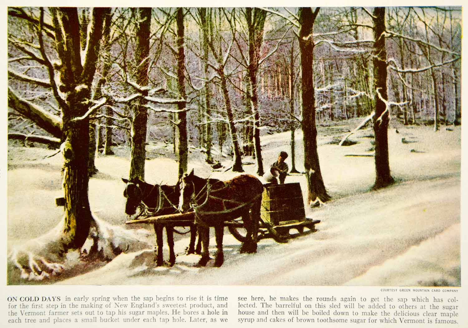 1938 Color Print Vermont USA New England Winter Forest Maple Syrup Horse XGGD5