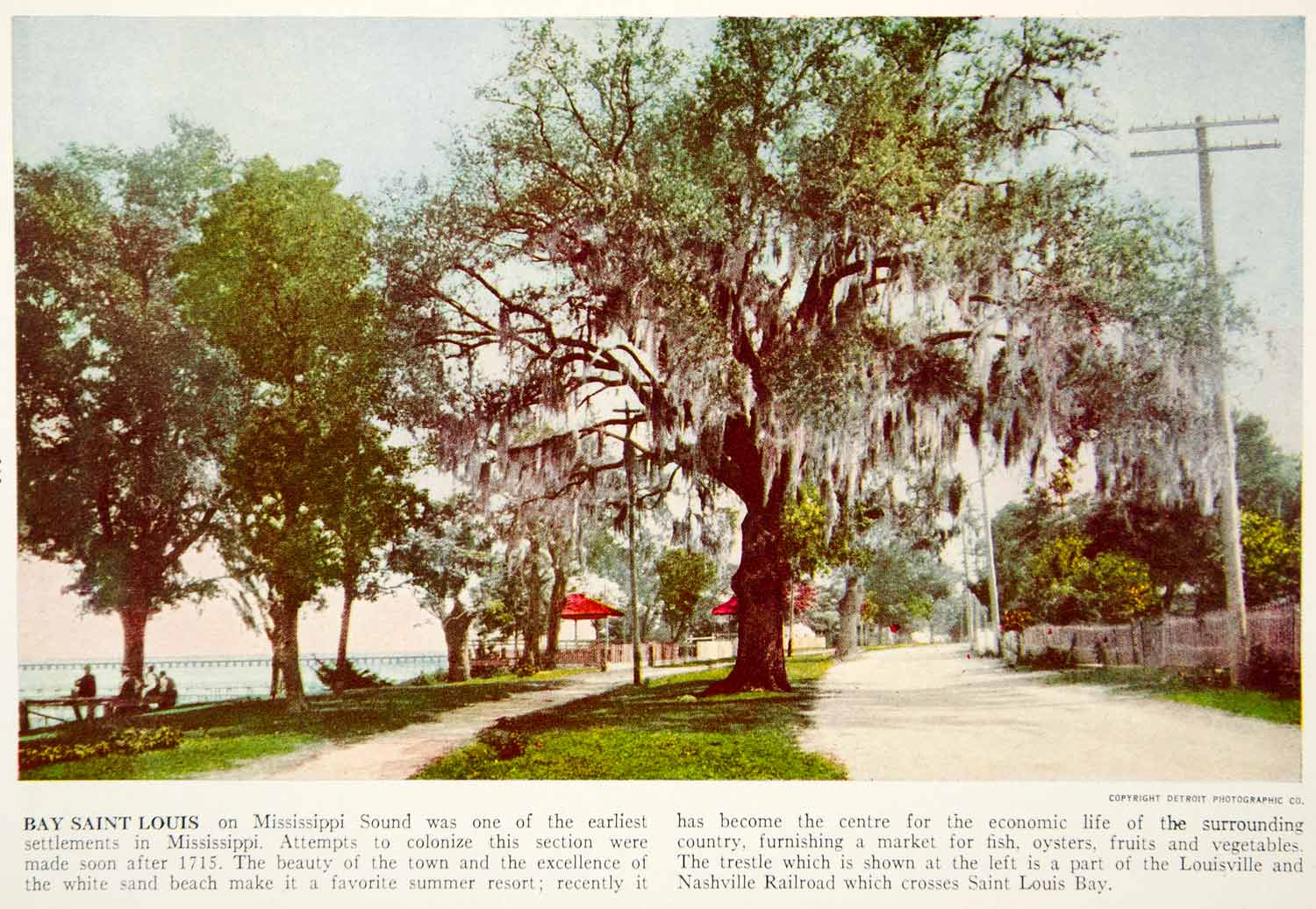 1938 Color Print Bay St Louis Hancock County Mississippi USA Town Tree XGGD5