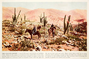 1938 Color Print Atacama Desert Chile South America Landscape Cacti Horse XGGD5