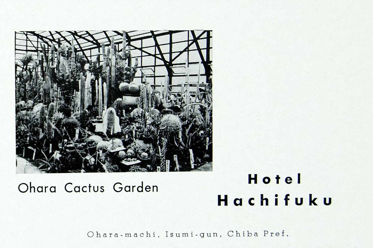 1968 Ad Ohara Cactus Garden Hotel Hachifuku Chiba Isumigun Japanese XGGD7