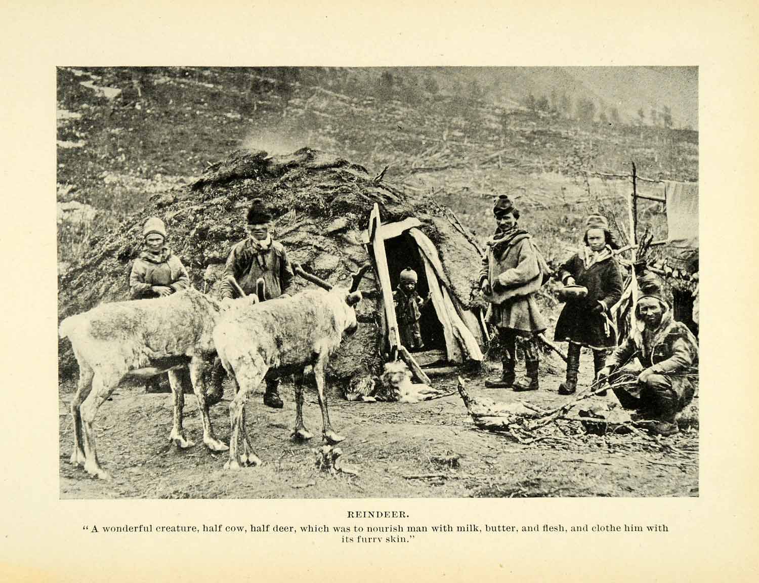 1896 Halftone Print Norway Norwegian Reindeer Natives Hut Wildlife Wild XGH3