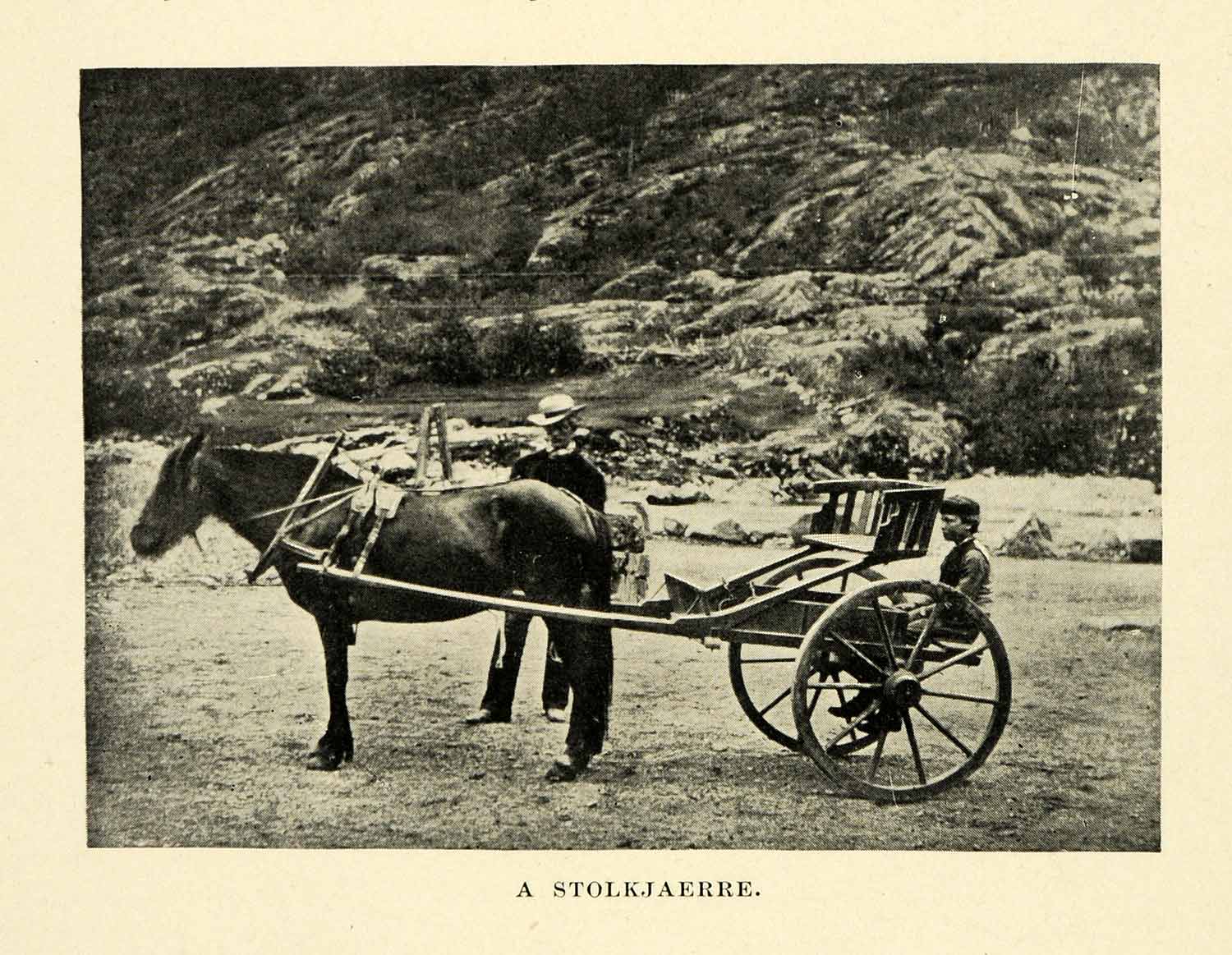 1896 Halftone Print Norwegian Stolkjerre Horse Drawn Chair Cart XGH3