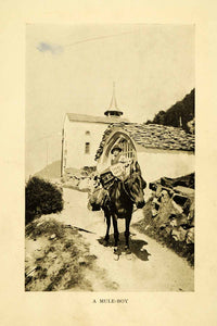 1910 Halftone Print Mule Donkey Delivery Boy Church Steeple Switzerland XGH5