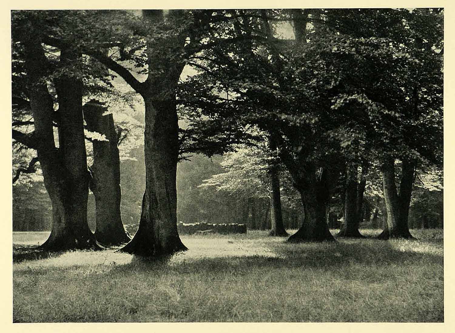 1949 Print Dyrehaven Royal Hunting Ground Park Copenhagen Klampenborg XGH9