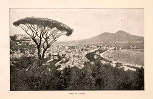 1904 Print Naples Italy Gulf Mountain Vesuvius Phlegraean Capital XGHA3