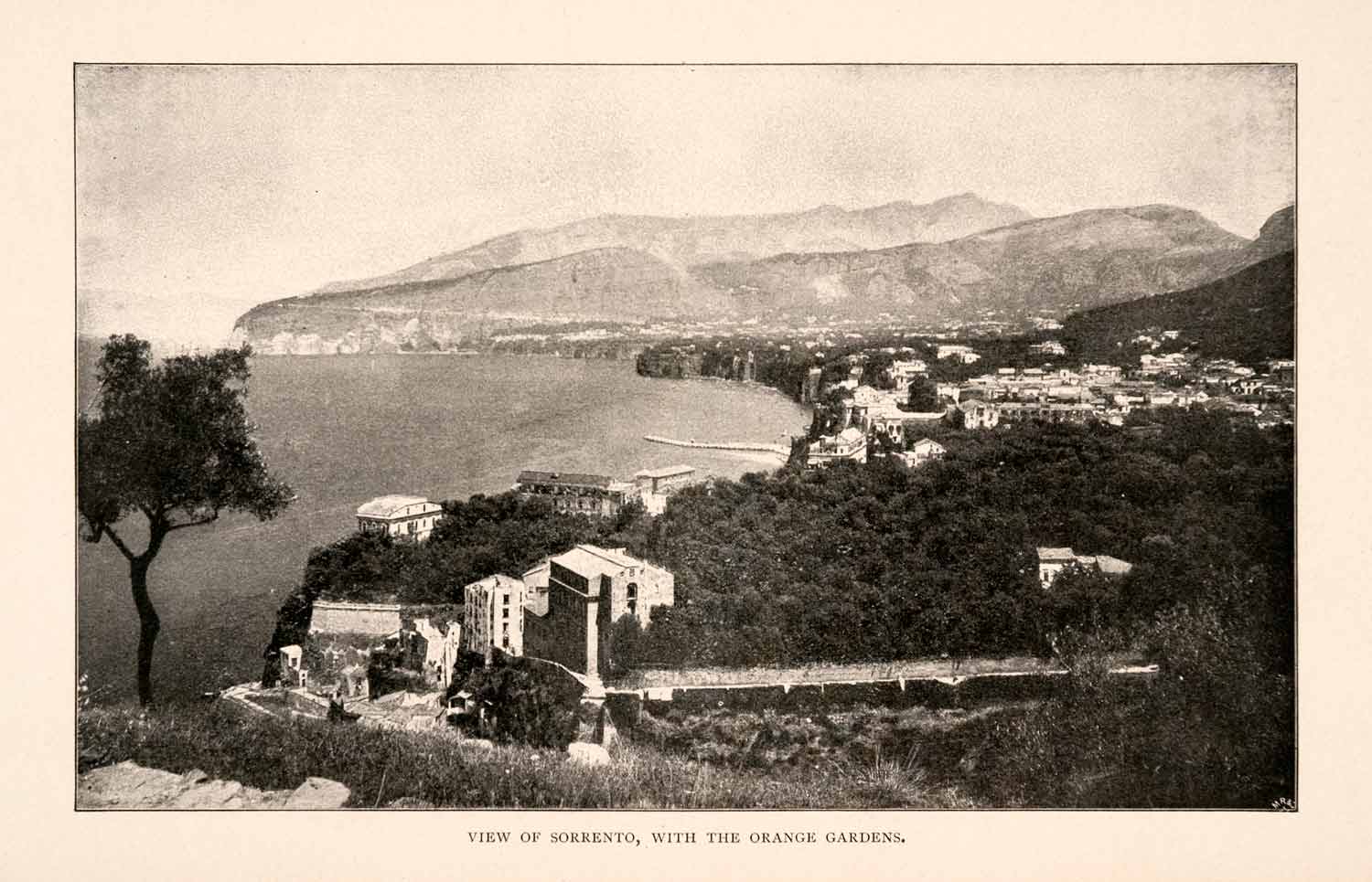 1904 Print Sorrento Orange Garden Italy Ocean Cityscape Shore Mountain XGHA3