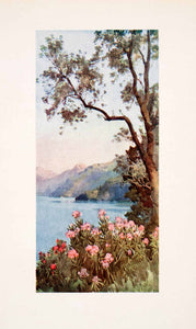 1908 Print Lake di Lecco Lago Como Italy Botanical Landscape Ella Du Cane XGHA5